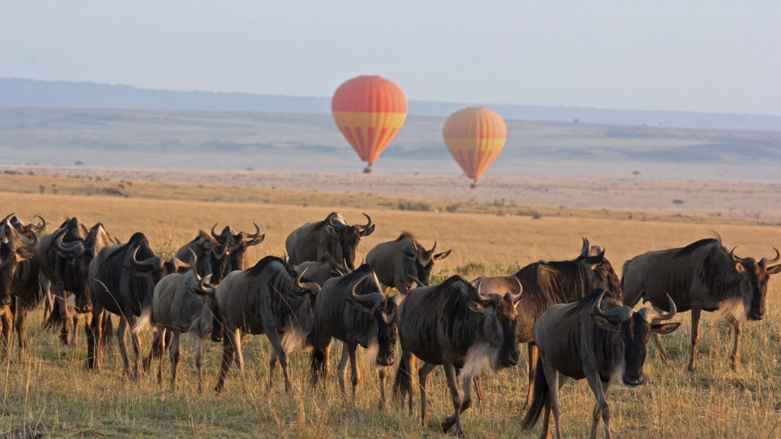 Serengeti National Park – Instyle Africa Safaris