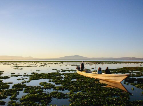 Lake Naivasha - Boat Tour